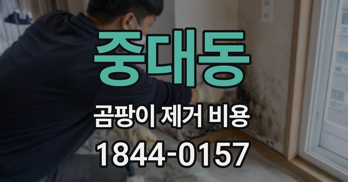 중대동 곰팡이 제거 비용