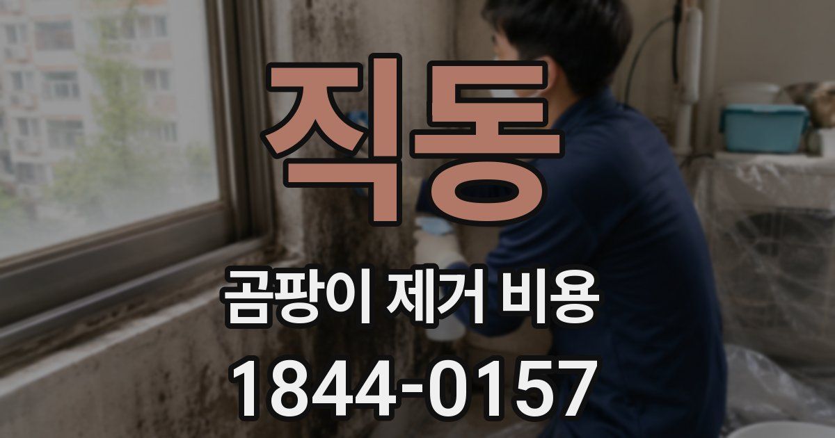 직동 곰팡이 제거 비용