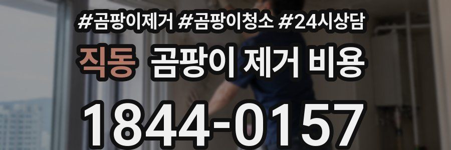 직동 곰팡이 제거 비용