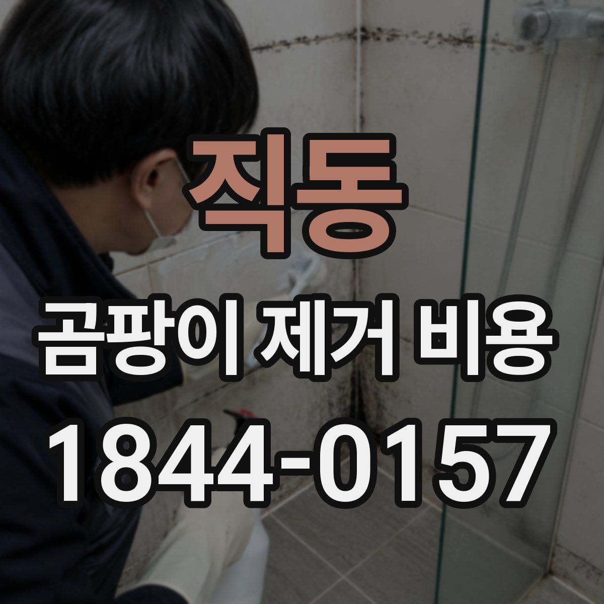 직동 곰팡이 제거 비용