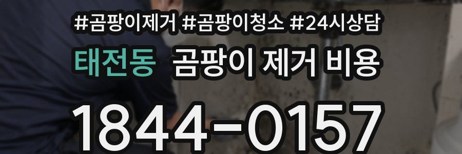 태전동 곰팡이 제거 비용