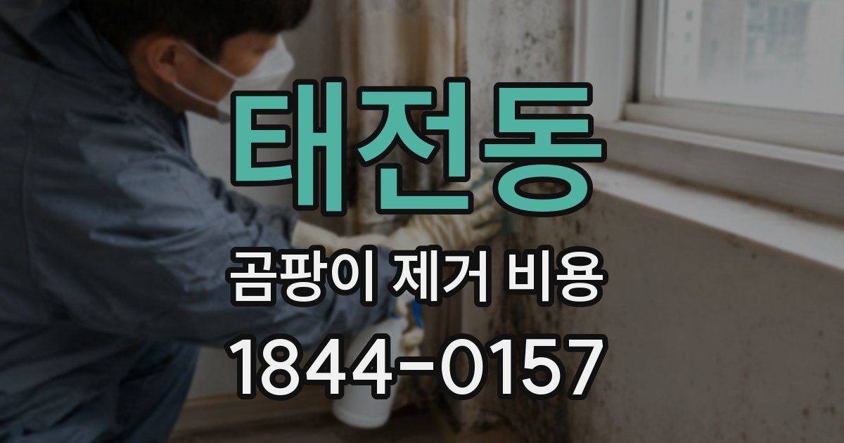 태전동 곰팡이 제거 비용
