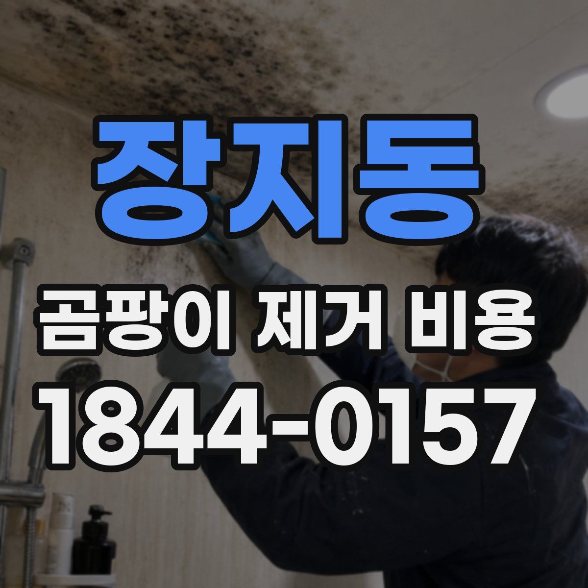 장지동 곰팡이 제거 비용