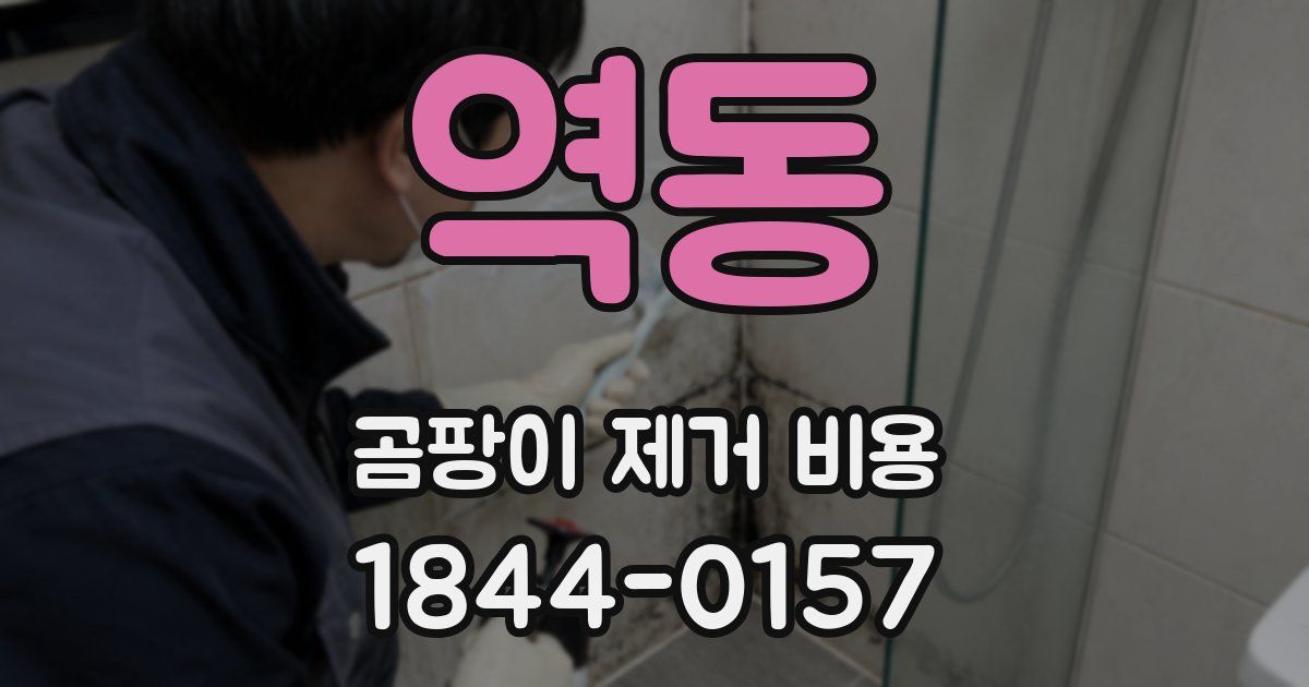 역동 곰팡이 제거 비용