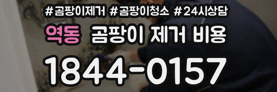 역동 곰팡이 제거 비용