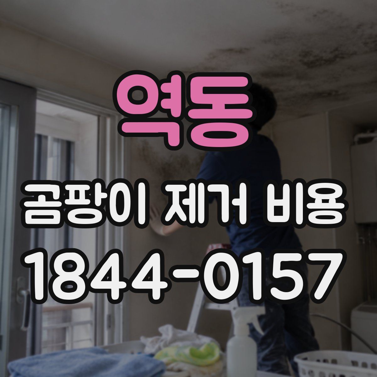 역동 곰팡이 제거 비용