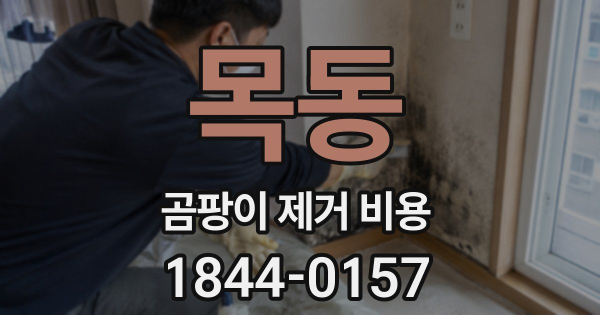 목동 곰팡이 제거 비용