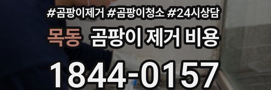 목동 곰팡이 제거 비용