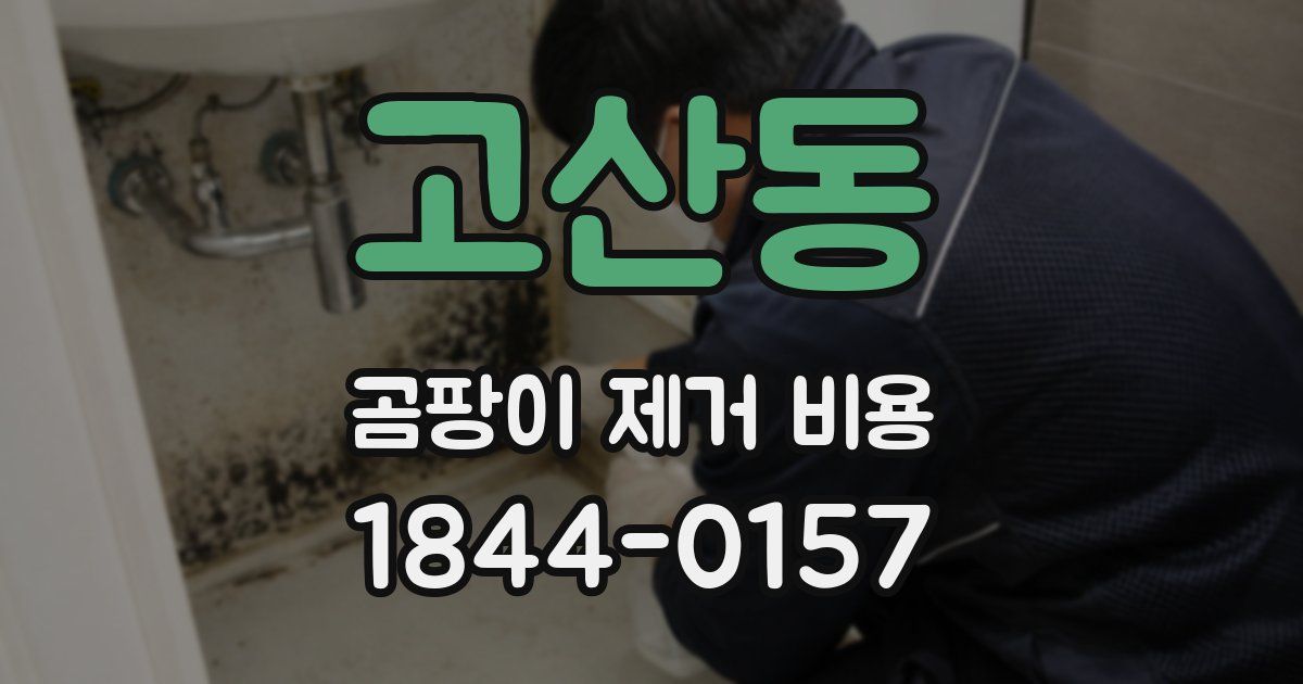 고산동 곰팡이 제거 비용