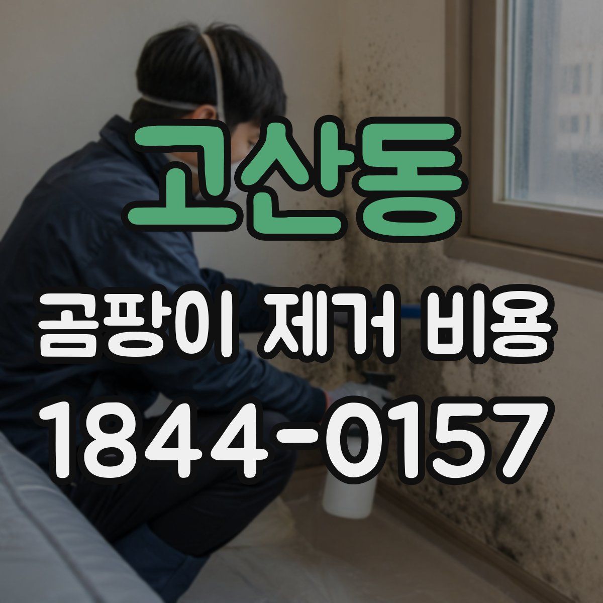 고산동 곰팡이 제거 비용