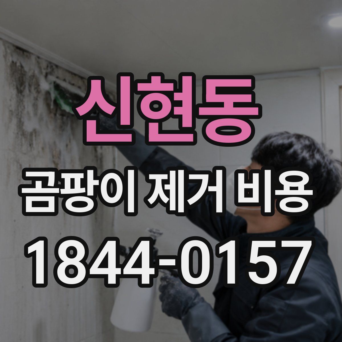 신현동 곰팡이 제거 비용