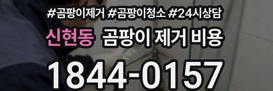 신현동 곰팡이 제거 비용