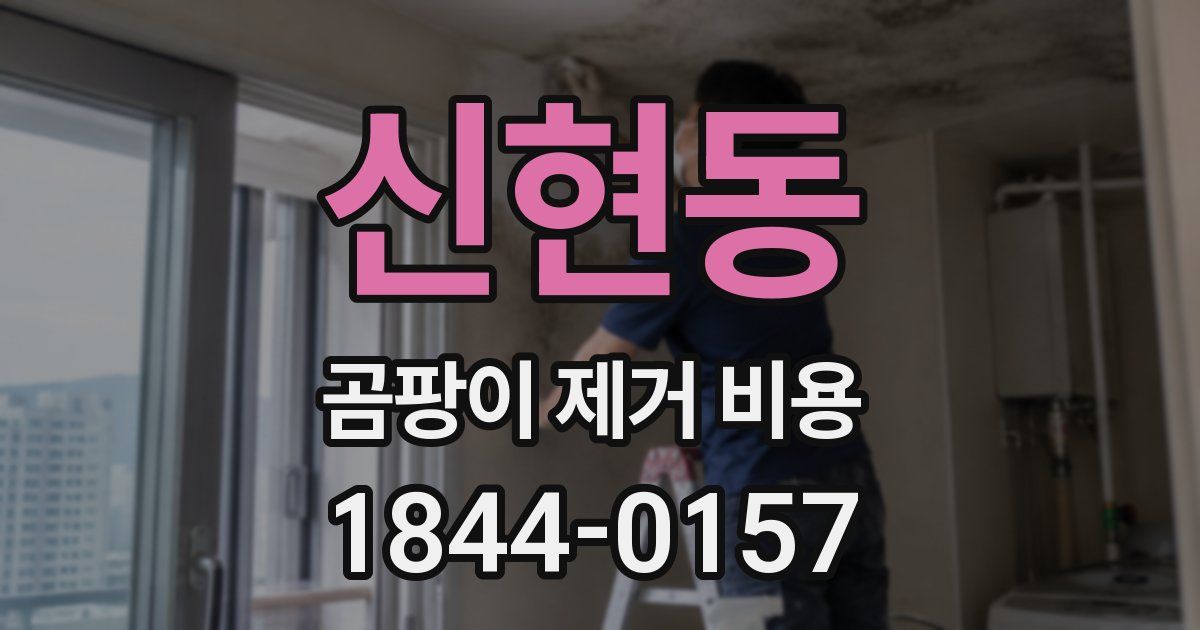 신현동 곰팡이 제거 비용