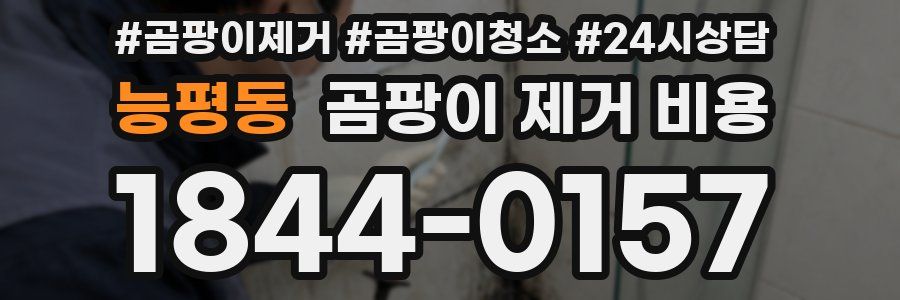 능평동 곰팡이 제거 비용