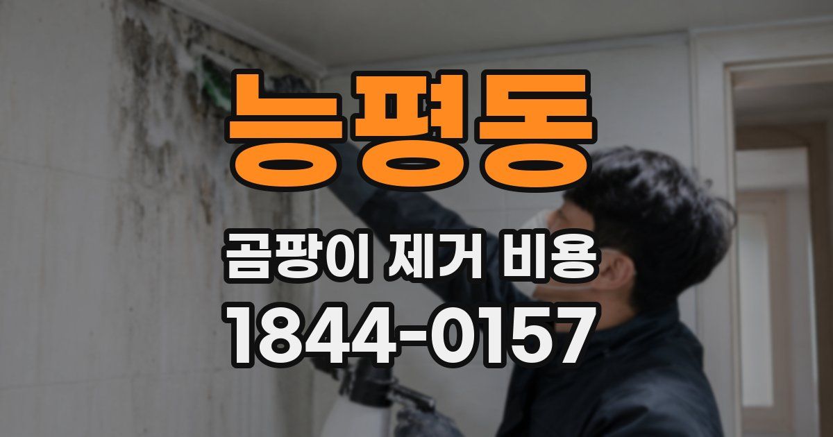 능평동 곰팡이 제거 비용