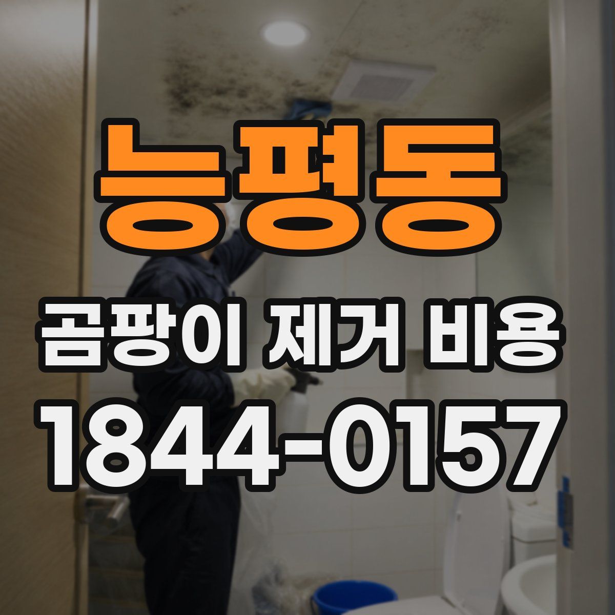 능평동 곰팡이 제거 비용