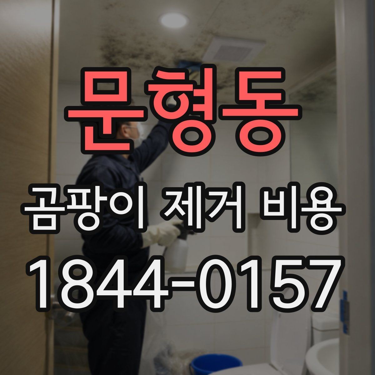 문형동 곰팡이 제거 비용 현장 인원 수에 따라 달라지는 산정 방식