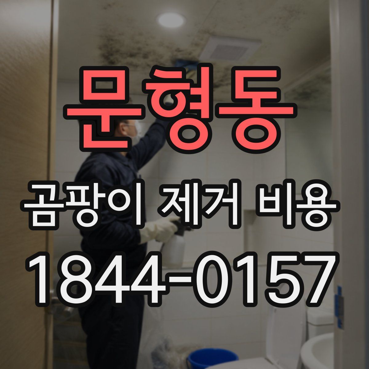 문형동 곰팡이 제거 비용