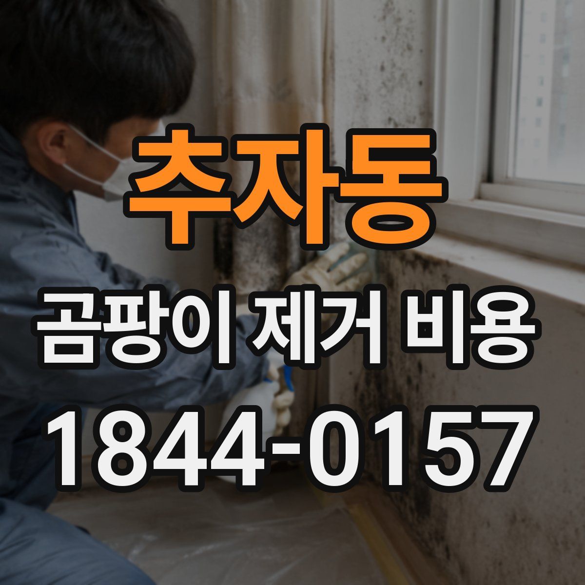 추자동 곰팡이 제거 비용
