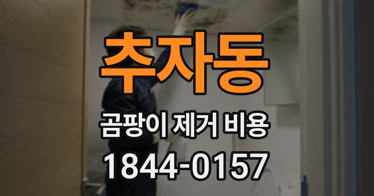 추자동 곰팡이 제거 비용