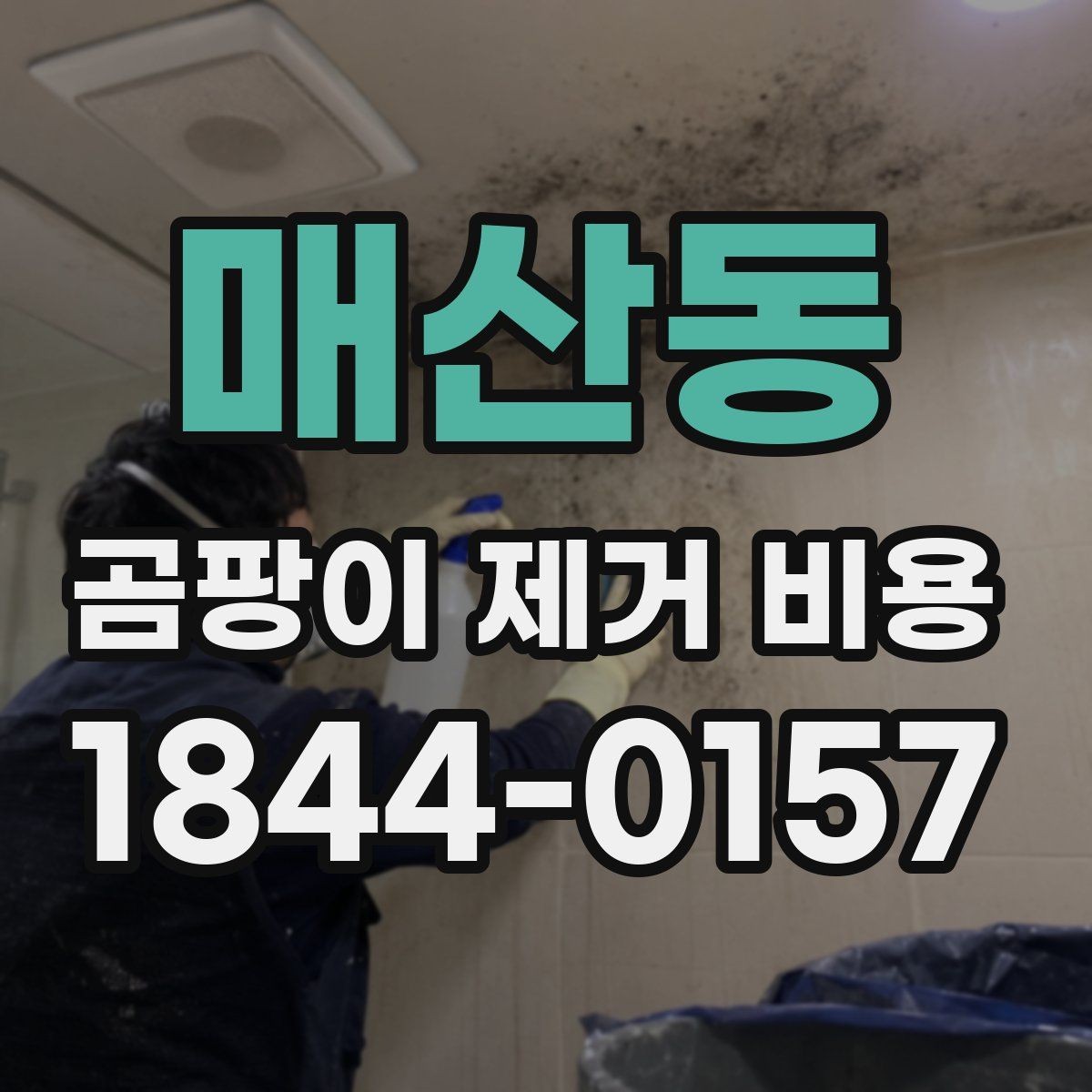 매산동 곰팡이 제거 비용 견적받기 전 체크해야 할 누수와 결로 차이