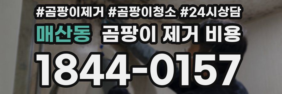 매산동 곰팡이 제거 비용