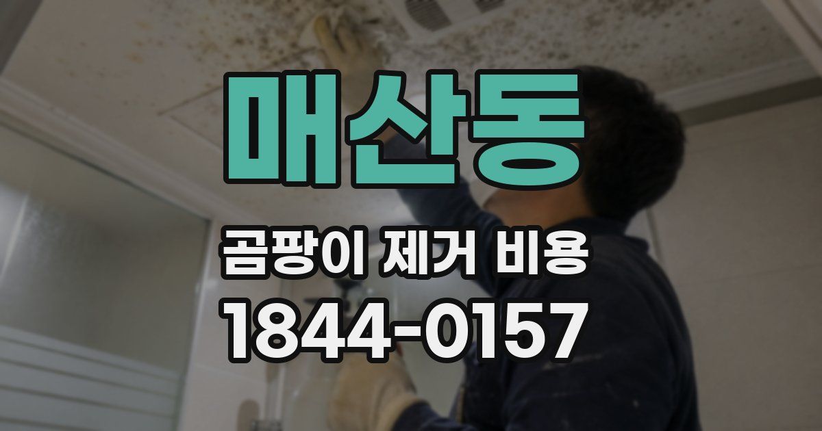 매산동 곰팡이 제거 비용