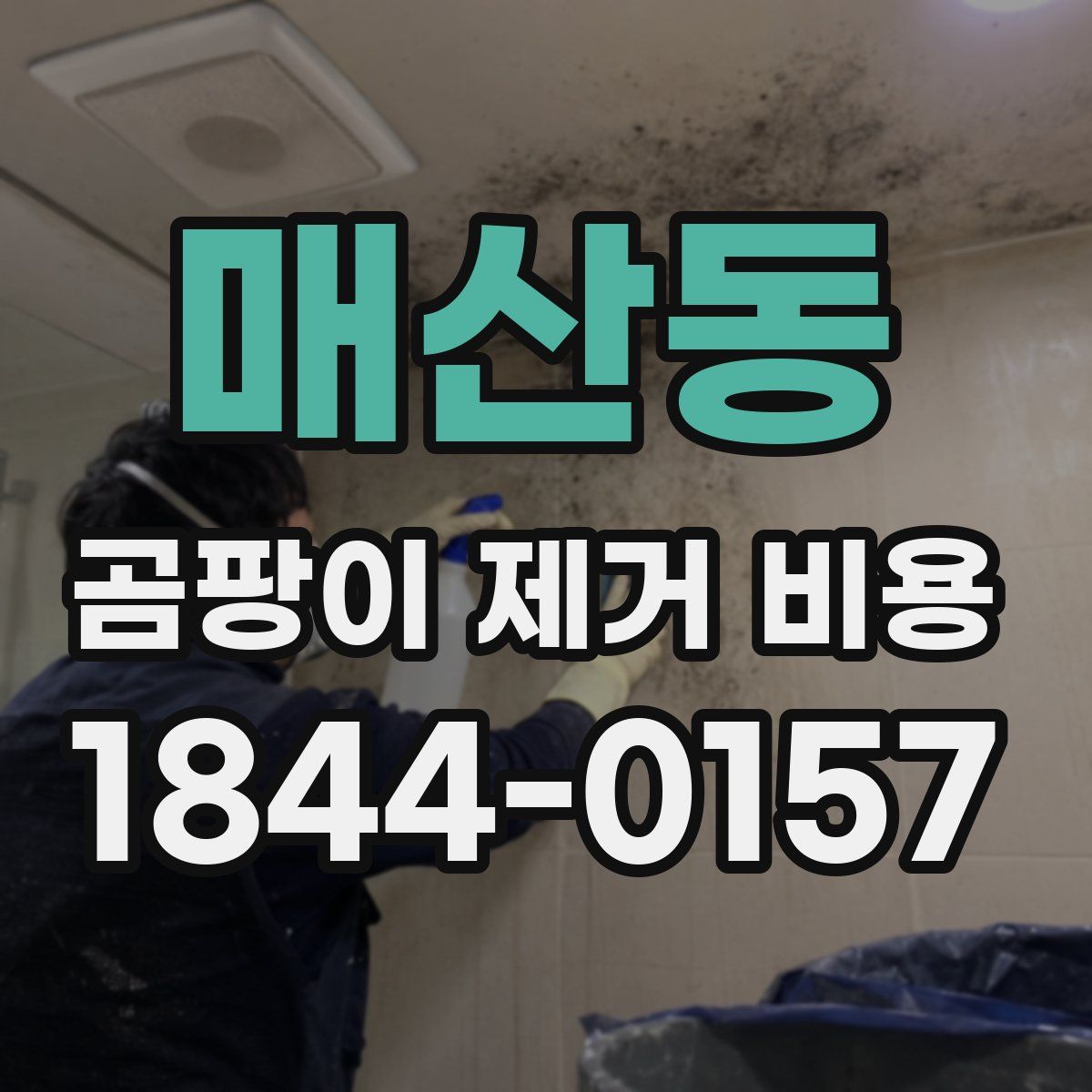 매산동 곰팡이 제거 비용
