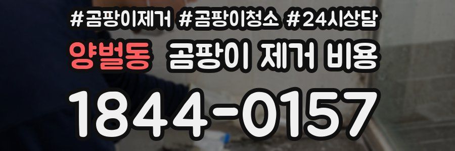 양벌동 곰팡이 제거 비용