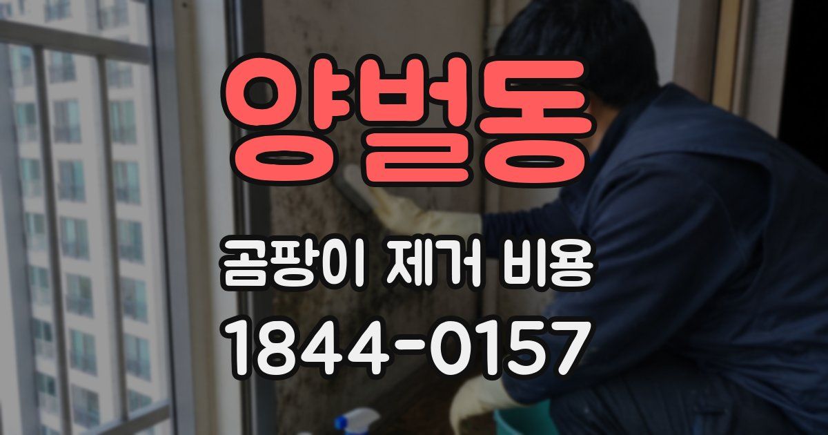 양벌동 곰팡이 제거 비용