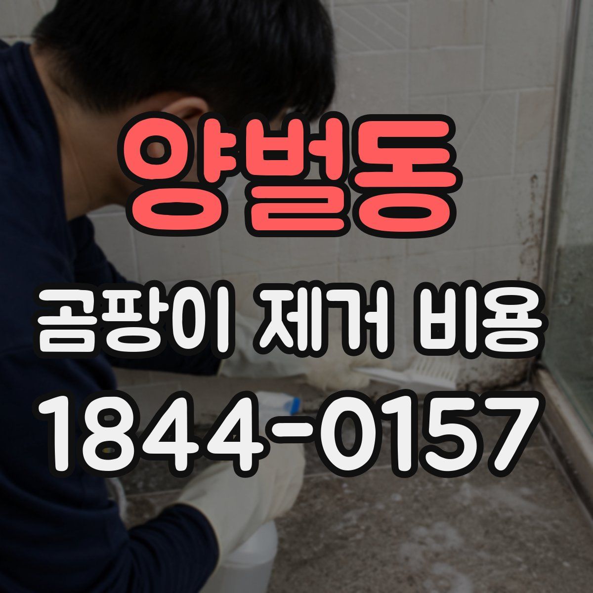 양벌동 곰팡이 제거 비용