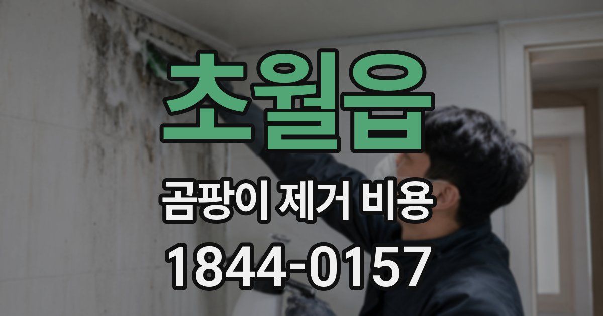 초월읍 곰팡이 제거 비용
