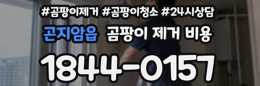 곤지암읍 곰팡이 제거 비용