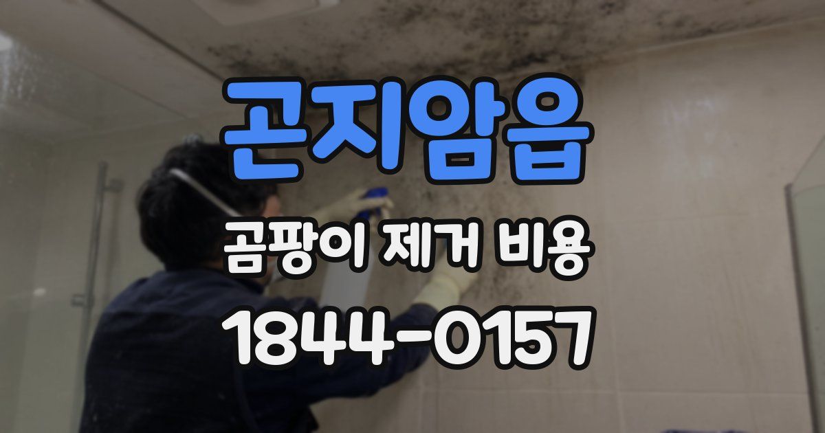 곤지암읍 곰팡이 제거 비용