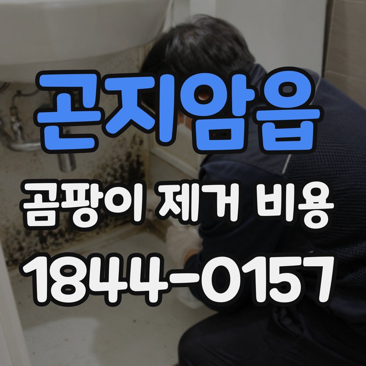 곤지암읍 곰팡이 제거 비용