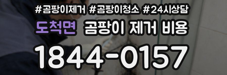 도척면 곰팡이 제거 비용