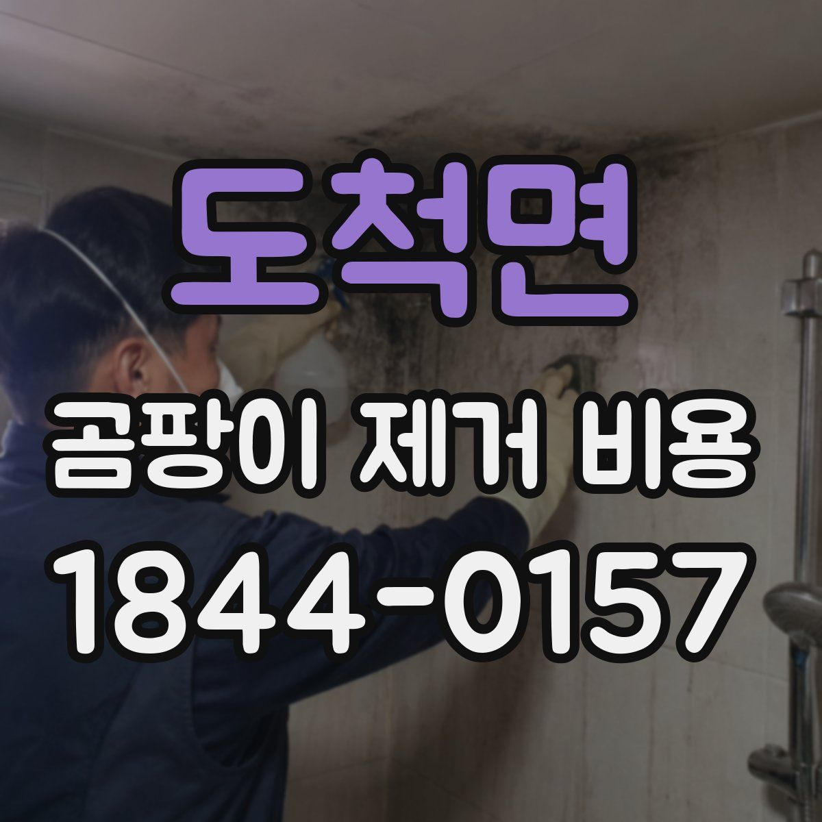 도척면 곰팡이 제거 비용