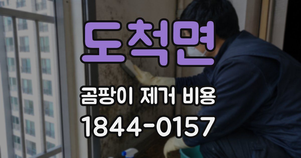 도척면 곰팡이 제거 비용
