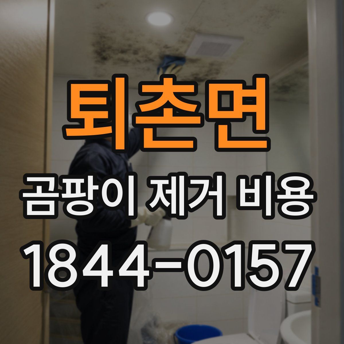 퇴촌면 곰팡이 제거 비용