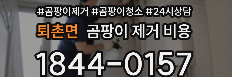 퇴촌면 곰팡이 제거 비용
