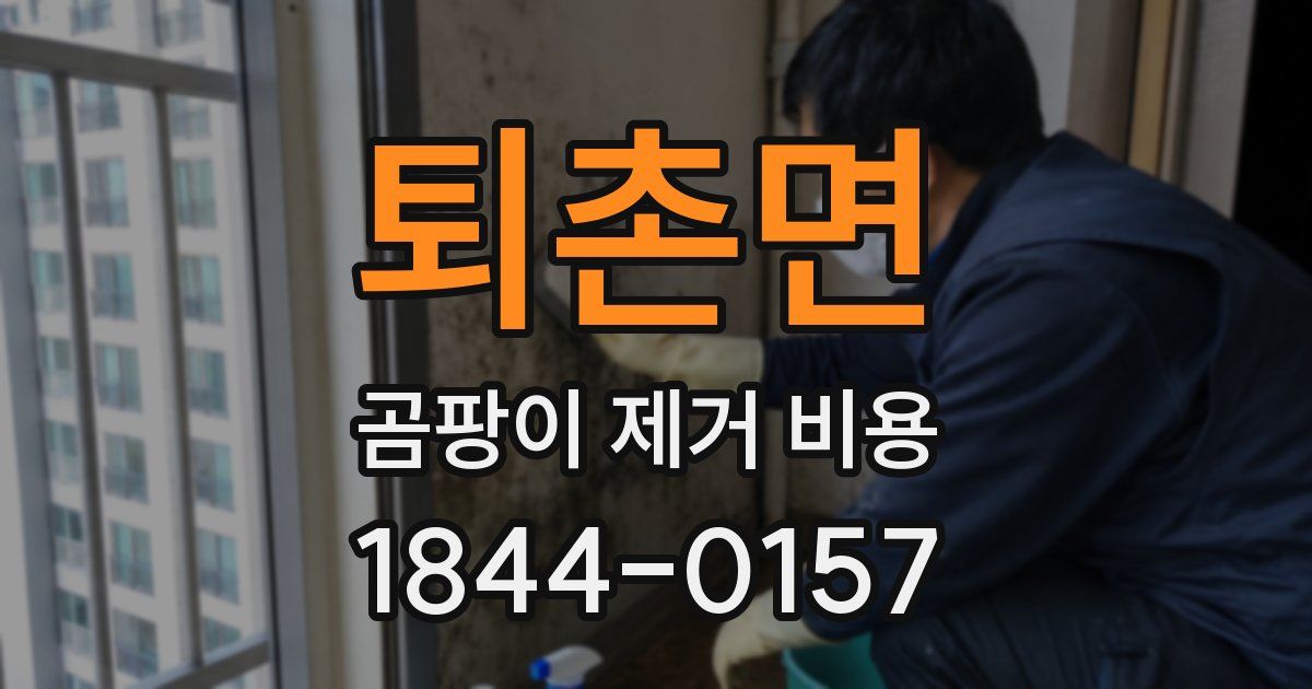 퇴촌면 곰팡이 제거 비용