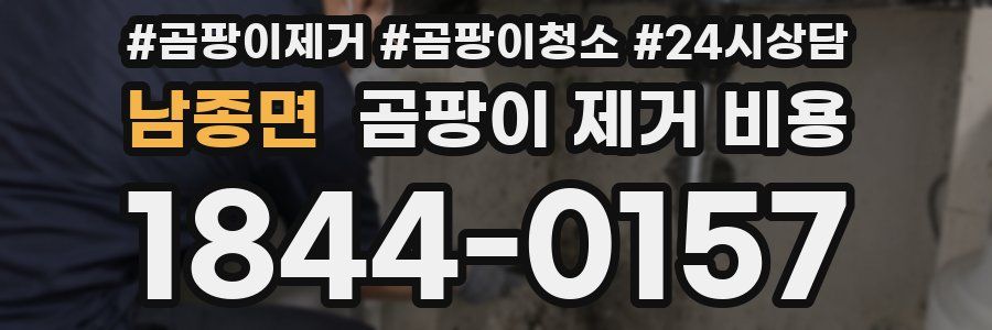 남종면 곰팡이 제거 비용