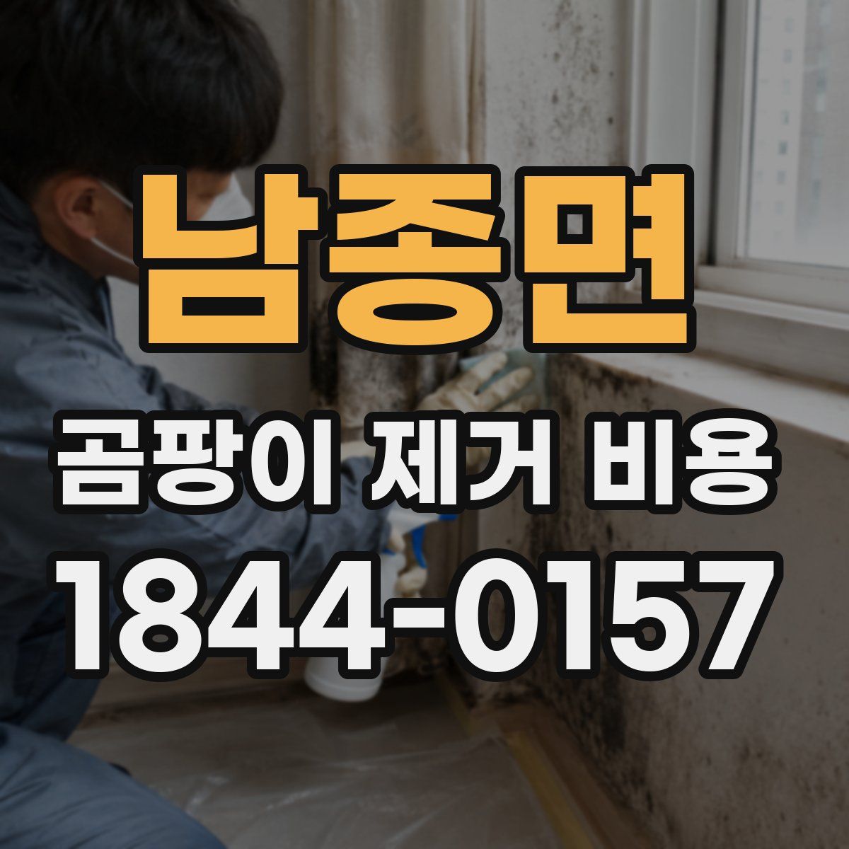 남종면 곰팡이 제거 비용