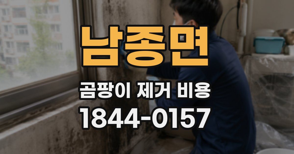 남종면 곰팡이 제거 비용