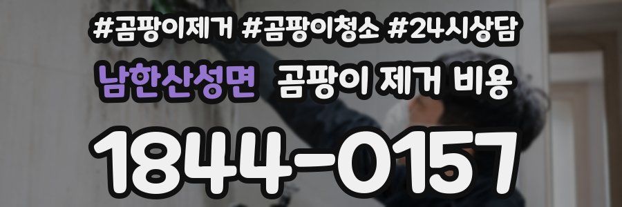 남한산성면 곰팡이 제거 비용