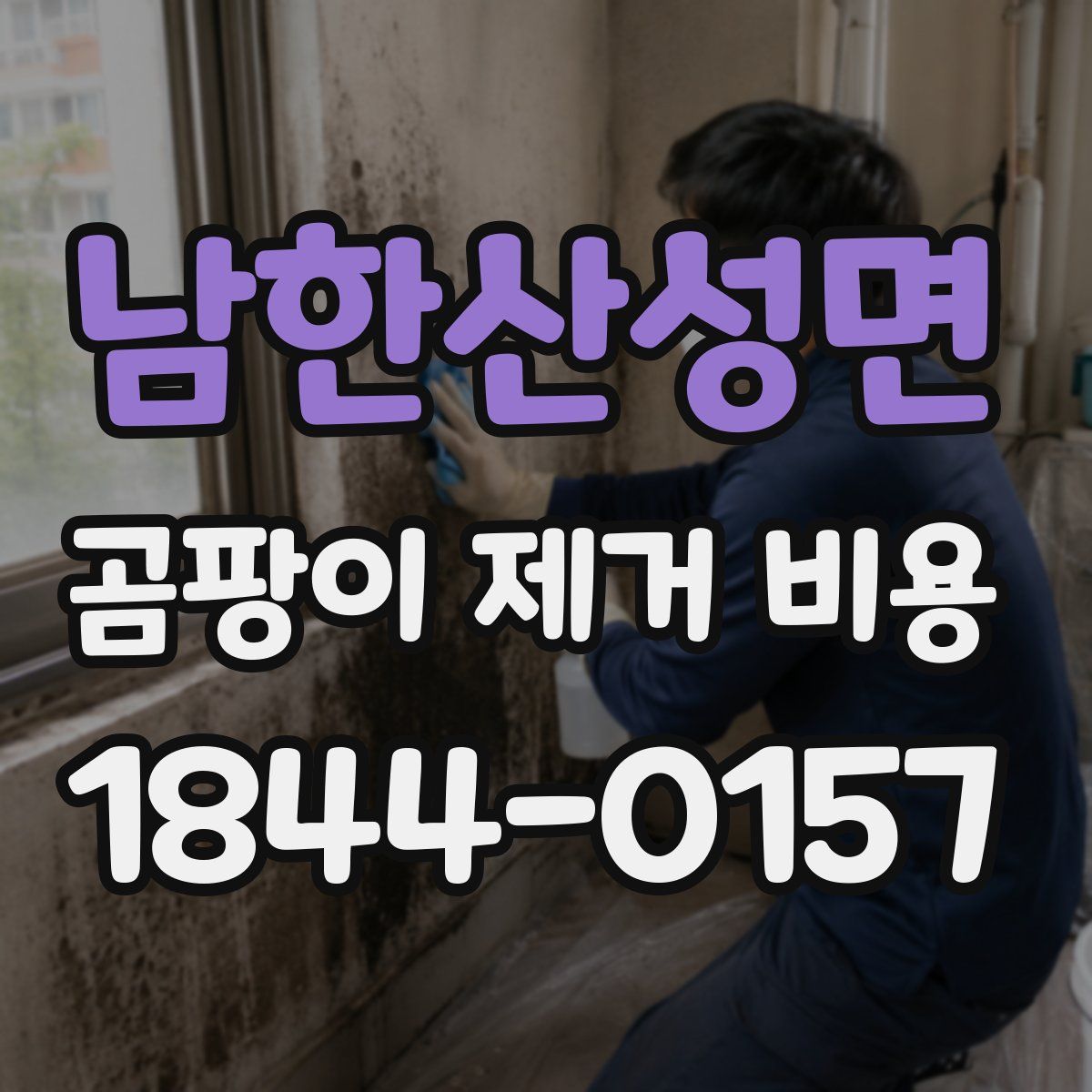 남한산성면 곰팡이 제거 비용