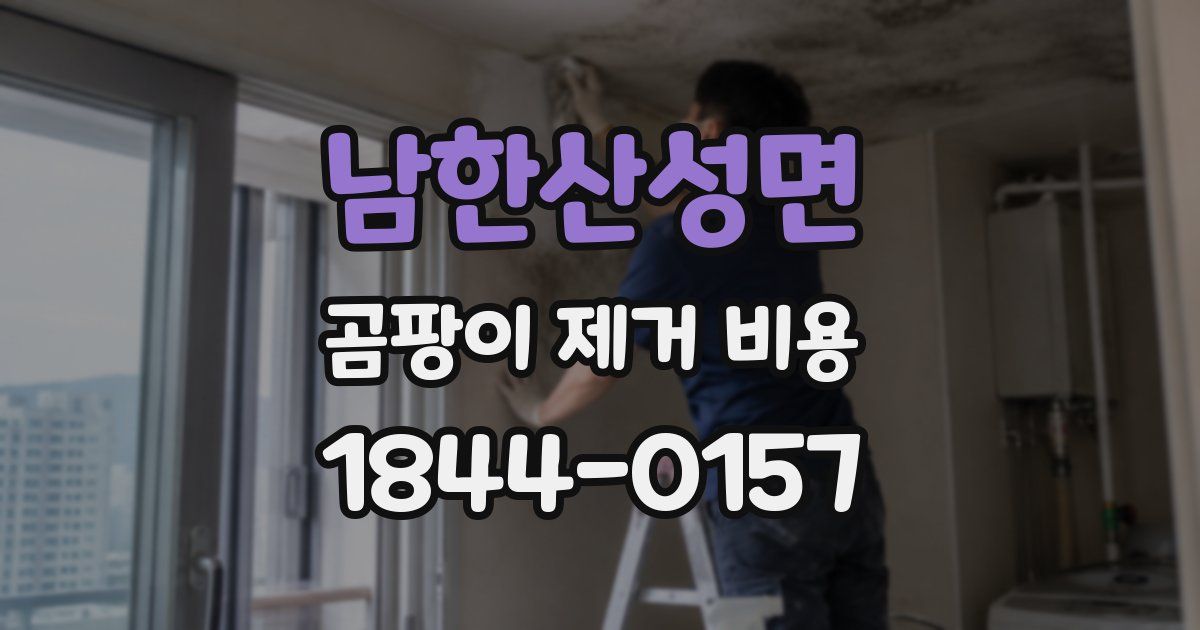 남한산성면 곰팡이 제거 비용