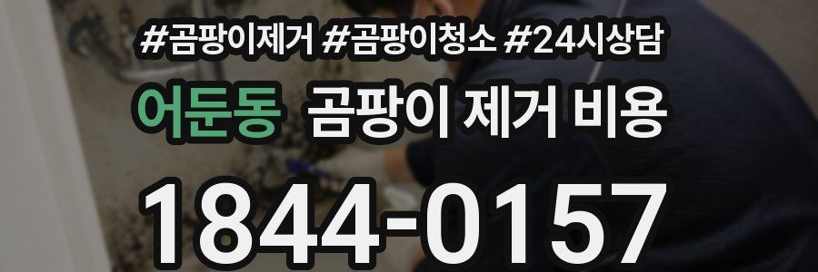 어둔동 곰팡이 제거 비용