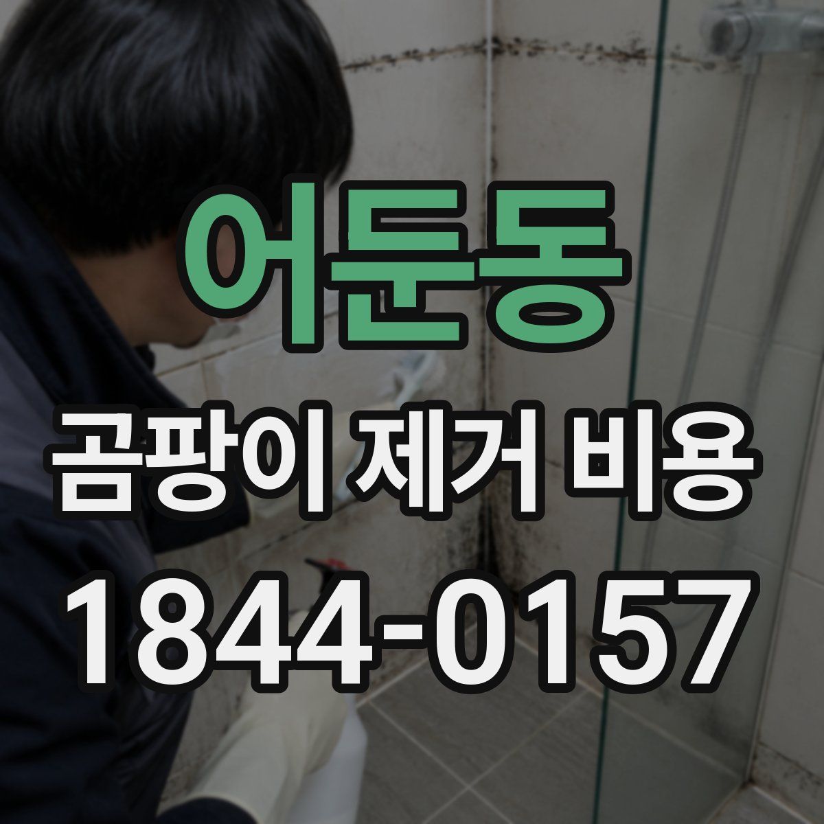 어둔동 곰팡이 제거 비용