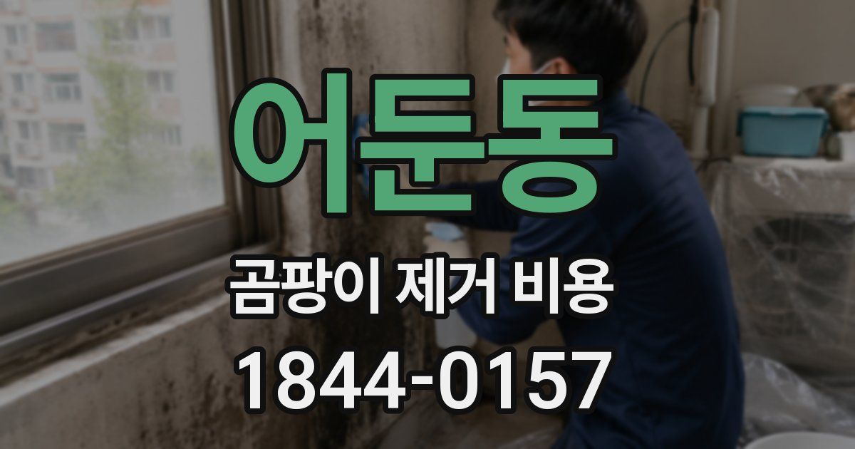 어둔동 곰팡이 제거 비용